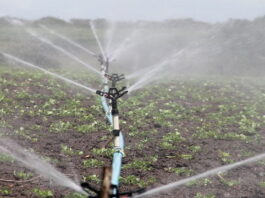 Un prêt japonais de 3,9 MMDH pour moderniser l’irrigation au Maroc