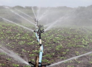 Un prêt japonais de 3,9 MMDH pour moderniser l’irrigation au Maroc Un prêt japonais de 3,9 MMDH pour moderniser l’irrigation au Maroc