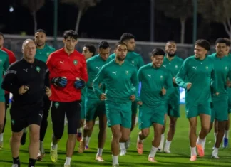 Préparation en cours pour les Lions de l’Atlas à Maâmora Préparation en cours pour les Lions de l’Atlas à Maâmora