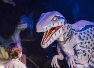 Dinos Alive débarque à Casablanca pour un voyage hors du temps Dinos Alive débarque à Casablanca pour un voyage hors du temps