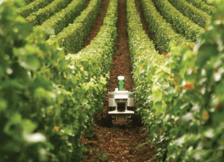 Génération Green vise 140 000 lauréats formés d’ici 2030 Génération Green vise 140 000 lauréats formés d’ici 2030