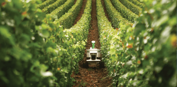 Génération Green vise 140 000 lauréats formés d’ici 2030