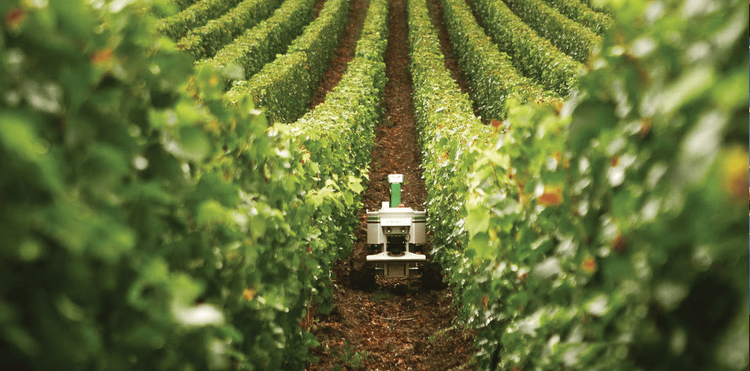 Génération Green Génération Green vise 140 000 lauréats formés d’ici 2030