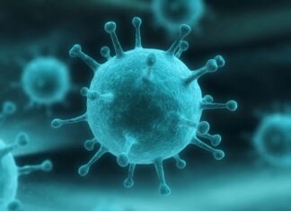 Épidémie de grippe déclarée dans presque toute la France Épidémie de grippe déclarée dans presque toute la France