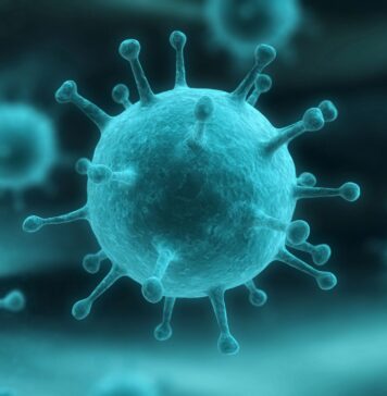 Épidémie de grippe déclarée dans presque toute la France Épidémie de grippe déclarée dans presque toute la France