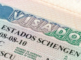 BLS International mise sur l’intelligence artificielle avec Sypha