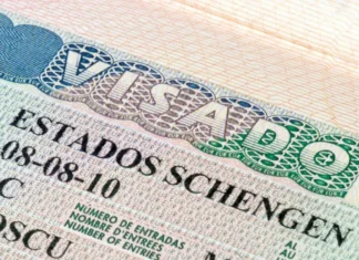 BLS International mise sur l’intelligence artificielle avec Sypha BLS International mise sur l’intelligence artificielle avec Sypha