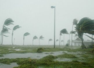 Tempête Goretti : plus de 380.000 foyers privés d’électricité en France Tempête Goretti : plus de 380.000 foyers privés d’électricité en France