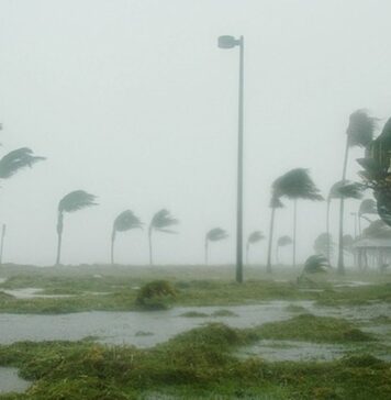 Tempête Goretti : plus de 380.000 foyers privés d’électricité en France Tempête Goretti : plus de 380.000 foyers privés d’électricité en France