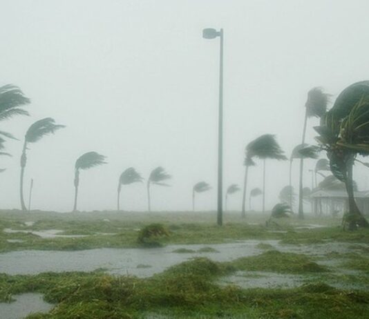 Tempête Goretti : plus de 380.000 foyers privés d’électricité en France Tempête Goretti : plus de 380.000 foyers privés d’électricité en France
