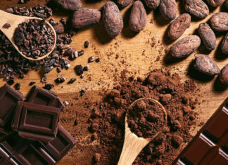 Le chocolat noir, un allié anti âge validé par la science Le chocolat noir, un allié anti âge validé par la science