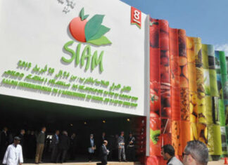 Agriculture, élevage et innovation au programme du SIAM 2026 Affluence record pour la 18e édition du SIAM à Meknès