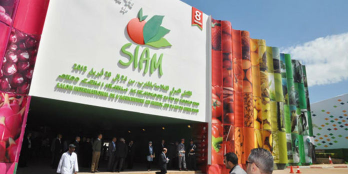 Affluence record pour la 18e édition du SIAM à Meknès