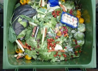 Le CESE alerte sur l’ampleur du gaspillage alimentaire au Maroc Le CESE alerte sur l’ampleur du gaspillage alimentaire au Maroc