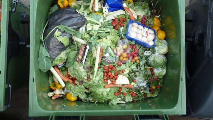 Le CESE alerte sur l’ampleur du gaspillage alimentaire au Maroc