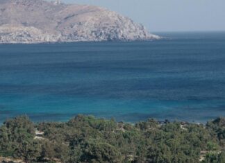 La Méditerranée prépare un nouveau plan pour ses ressources halieutiques La Méditerranée prépare un nouveau plan pour ses ressources halieutiques