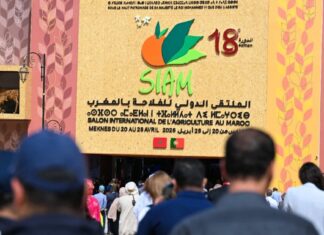 Affluence record pour la 18e édition du SIAM à Meknès Affluence record pour la 18e édition du SIAM à Meknès
