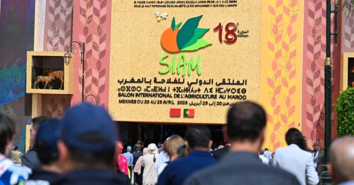 Affluence record pour la 18e édition du SIAM à Meknès