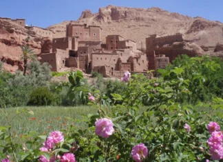 La presse espagnole sous le charme de la Vallée des Roses La presse espagnole sous le charme de la Vallée des Roses