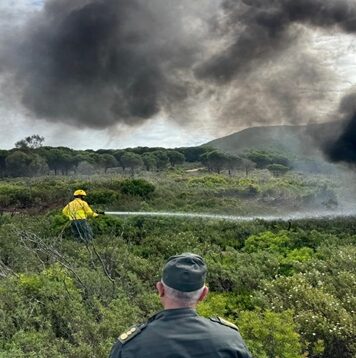 Le Maroc recense 310 incendies de forêt en 2026 Le Maroc recense 310 incendies de forêt en 2026