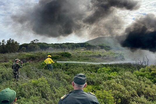 Le Maroc recense 310 incendies de forêt en 2026 Le Maroc recense 310 incendies de forêt en 2026