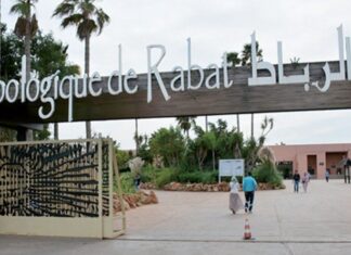Zoo de Rabat : une application pour mieux visiter le parc Zoo de Rabat : une application pour mieux visiter le parc