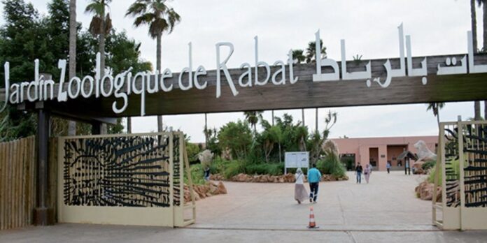 Zoo de Rabat : une application pour mieux visiter le parc