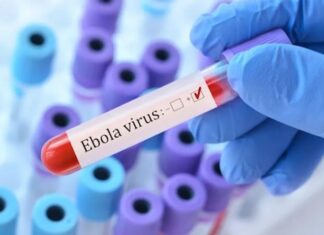 Ebola, l’OMS s’alarme de la progression en Afrique Centrale Ebola, l’OMS s’alarme de la progression en Afrique Centrale