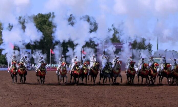 24 sorbas en lice pour le Prix Hassan II de tbourida