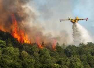 Le feu continue de ravager la forêt de Fontainebleau au sud de Paris Le feu continue de ravager la forêt de Fontainebleau au sud de Paris