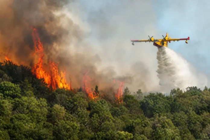 Le feu continue de ravager la forêt de Fontainebleau au sud de Paris